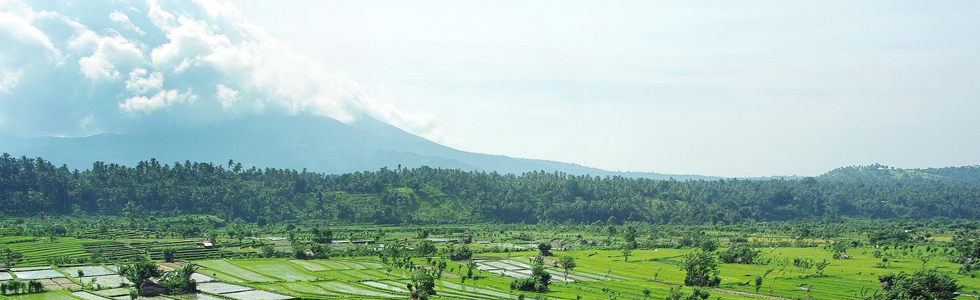 BaliPixabay1 980x300Ratio.jpg